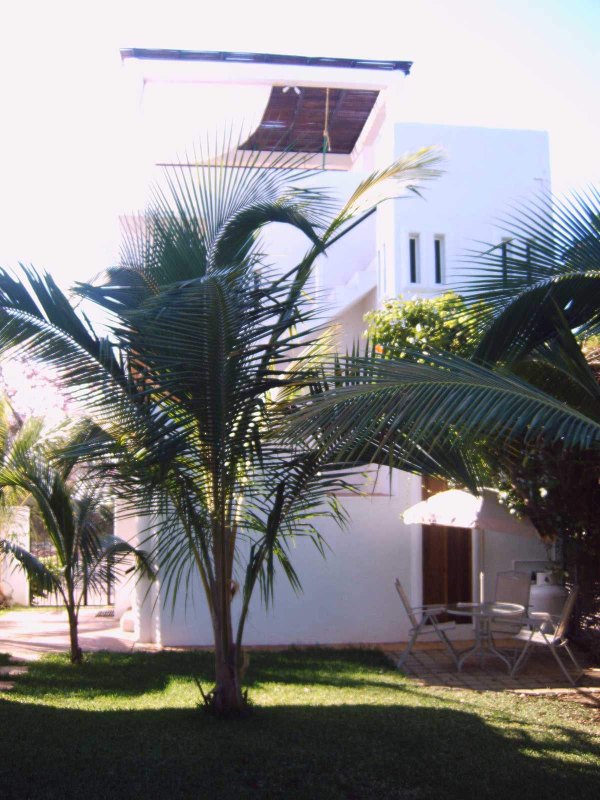 category Image